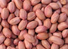 Groundnuts